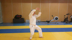 karate metz Dojos
